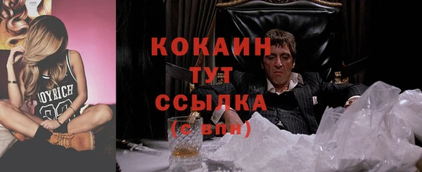 прущие крисы Алзамай