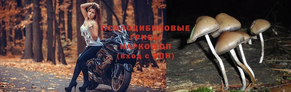 первитин Алексин