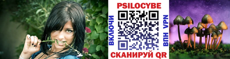 Псилоцибиновые грибы Magic Shrooms  наркотики  Ленинск-Кузнецкий 